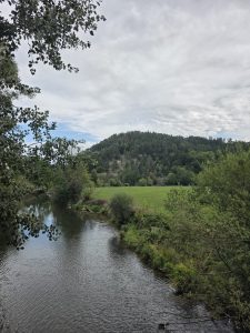 IMG-20260907-WA0001