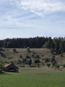 IMG-20260907-WA0009