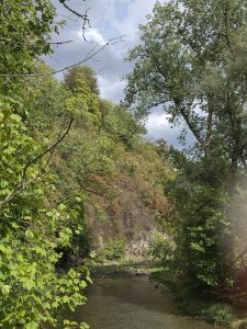 IMG-20260907-WA0014