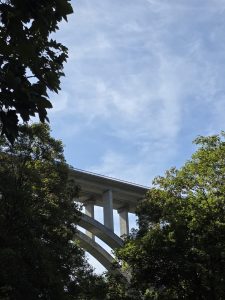 IMG-20260907-WA0015