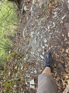 IMG-20260907-WA0019