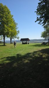 IMG-20260908-WA0002