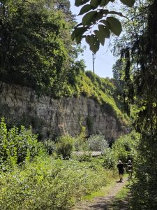 IMG-20260908-WA0013