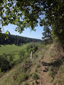 IMG-20260908-WA0017