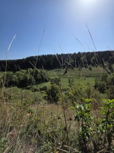 IMG-20260908-WA0027