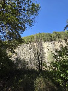 IMG-20260908-WA0028