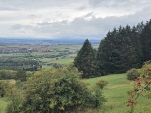 IMG-20260909-WA0004