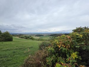 IMG-20260909-WA0006