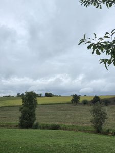 IMG-20260909-WA0007