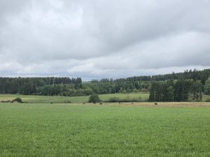 IMG-20260909-WA0010