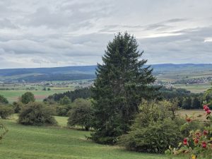 IMG-20260909-WA0012