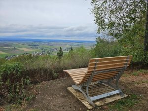 IMG-20260909-WA0013