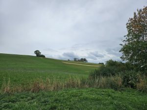 IMG-20260909-WA0016